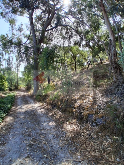 Terreno para Venda em Longomel