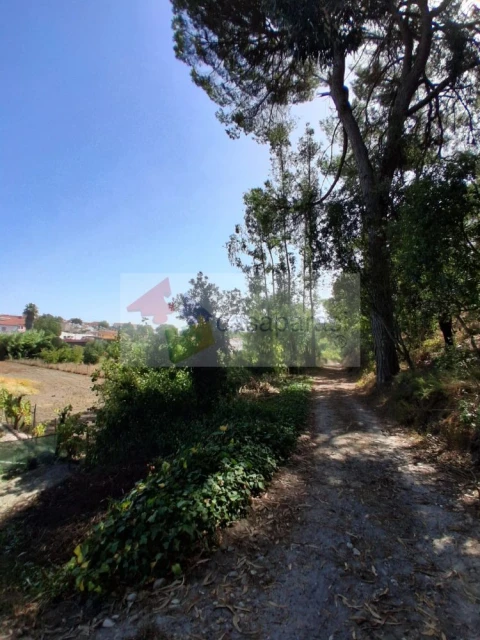 Terreno para Venda em Longomel