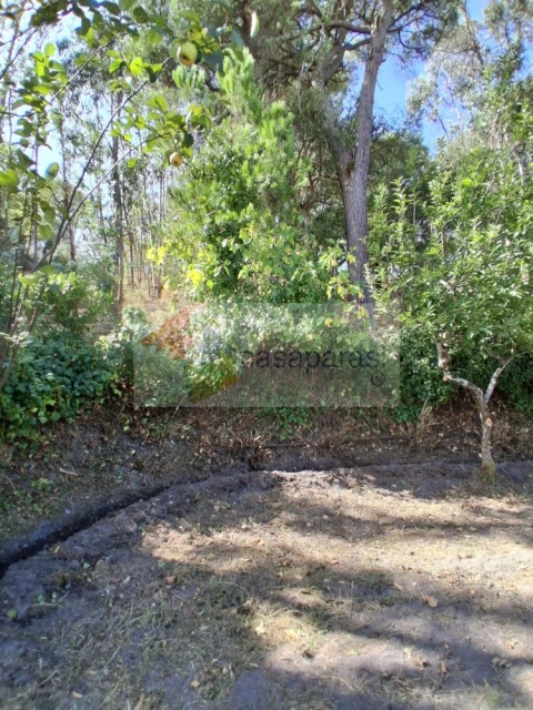 Terreno para Venda em Longomel
