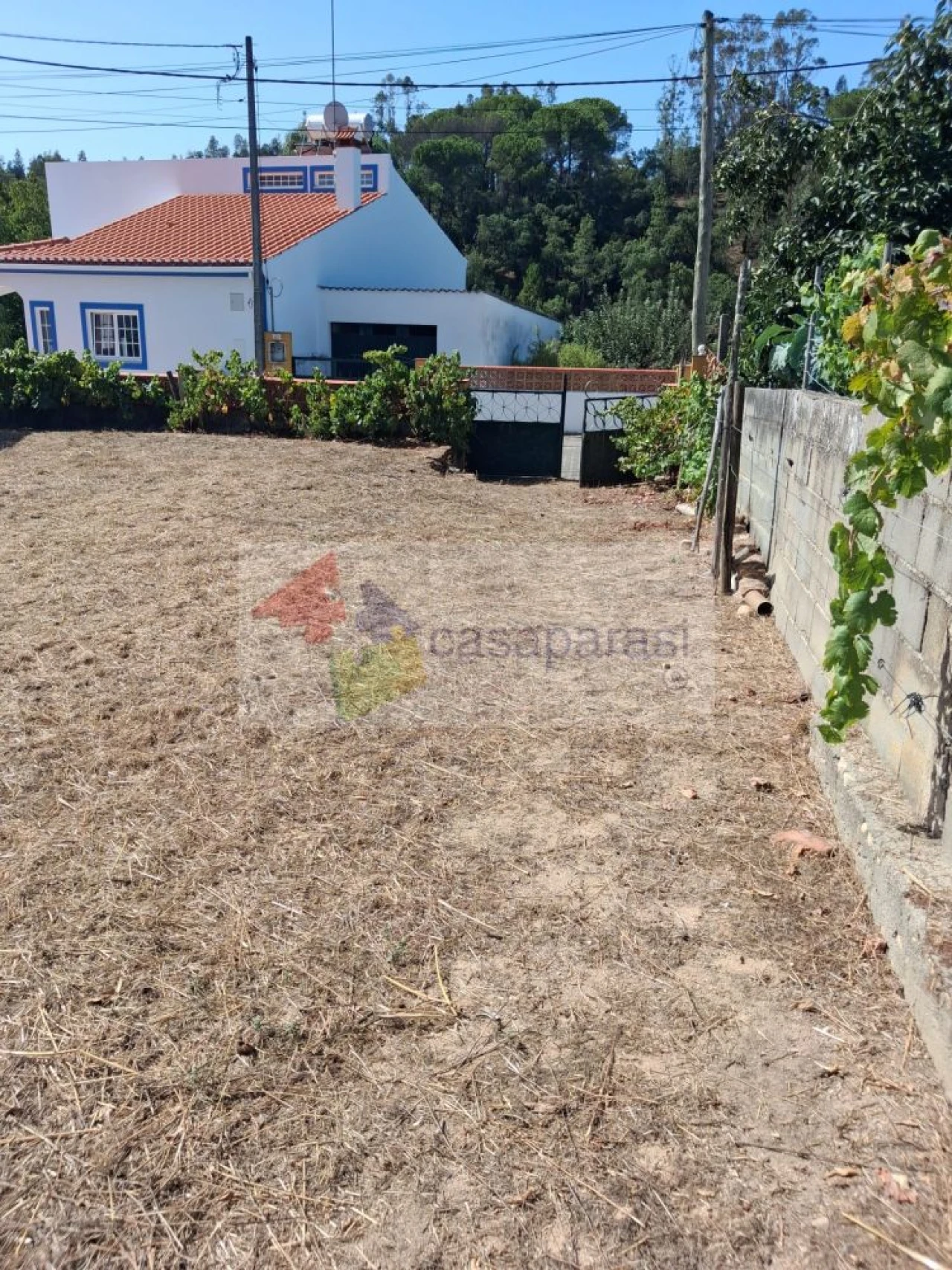 Terreno para Venda em Longomel Foto 12