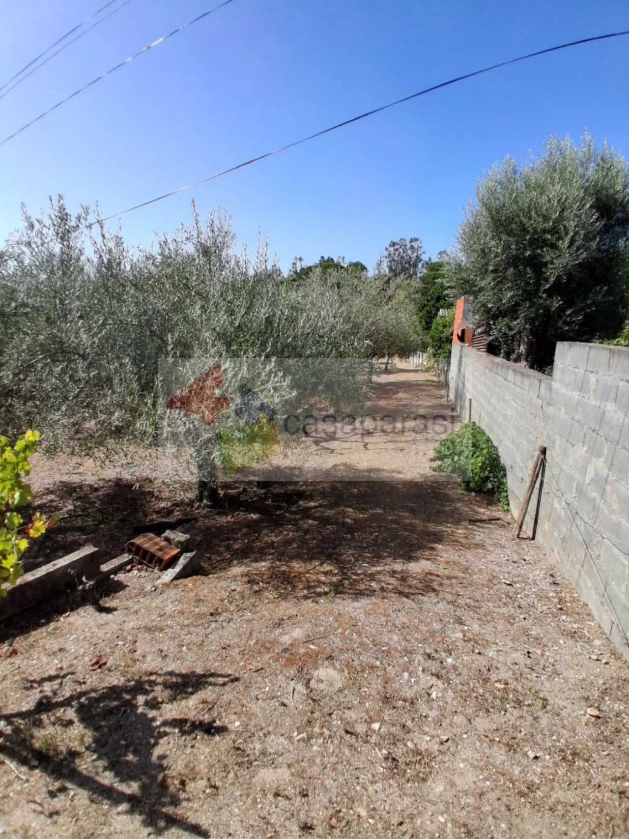 Terreno para Venda em Longomel Foto 11