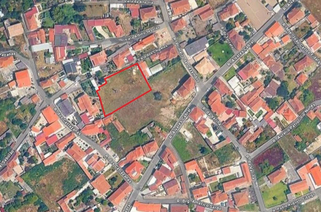 Terreno para Venda em Monte Foto 1