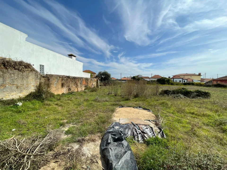 Terreno para Venda em Monte Foto 3