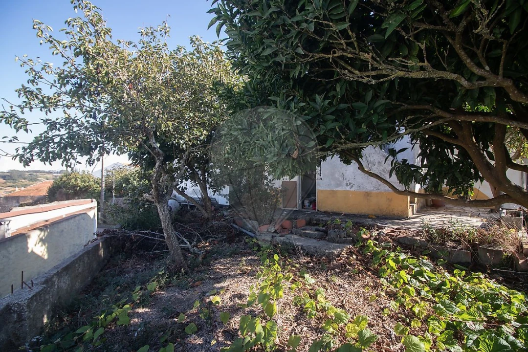 Moradia T2 para Venda em Ribafria e Pereiro de Palhacana Foto 20