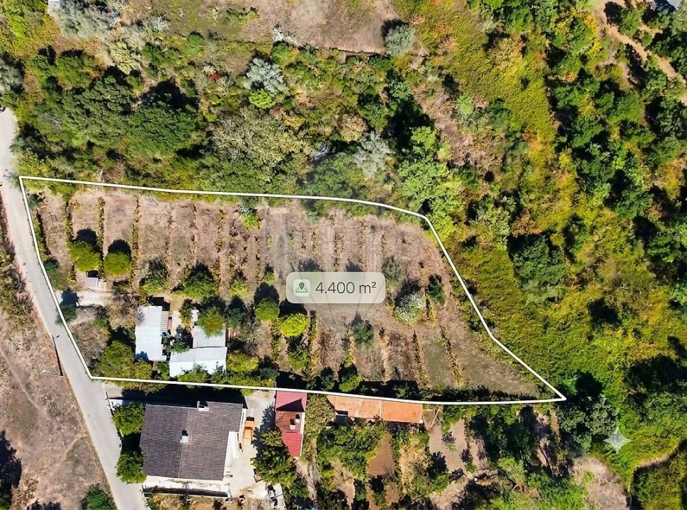 Terreno para Venda em Eiras e São Paulo de Frades Foto 1