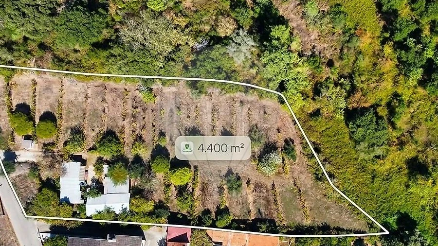 Terreno para Venda em Eiras e São Paulo de Frades
