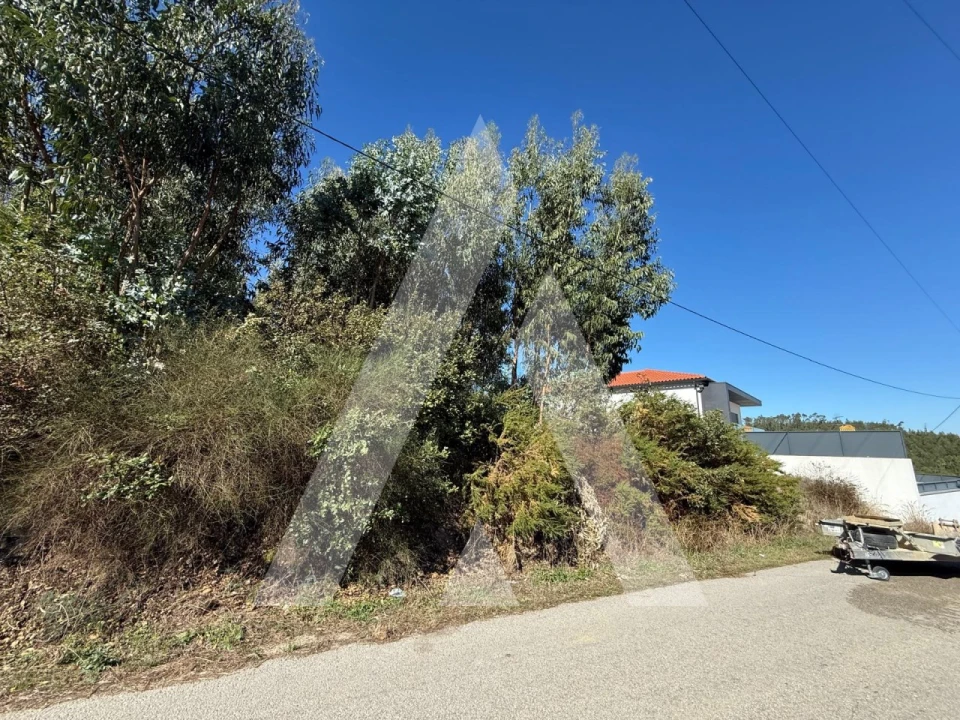 Terreno para Venda em Parceiros e Azoia Foto 2