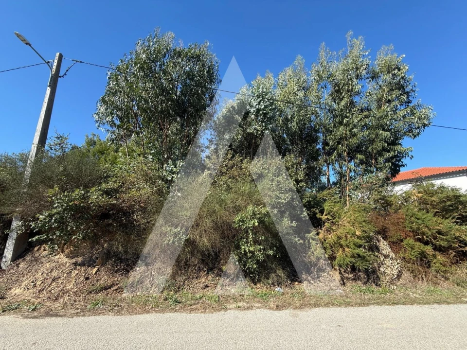 Terreno para Venda em Parceiros e Azoia Foto 4