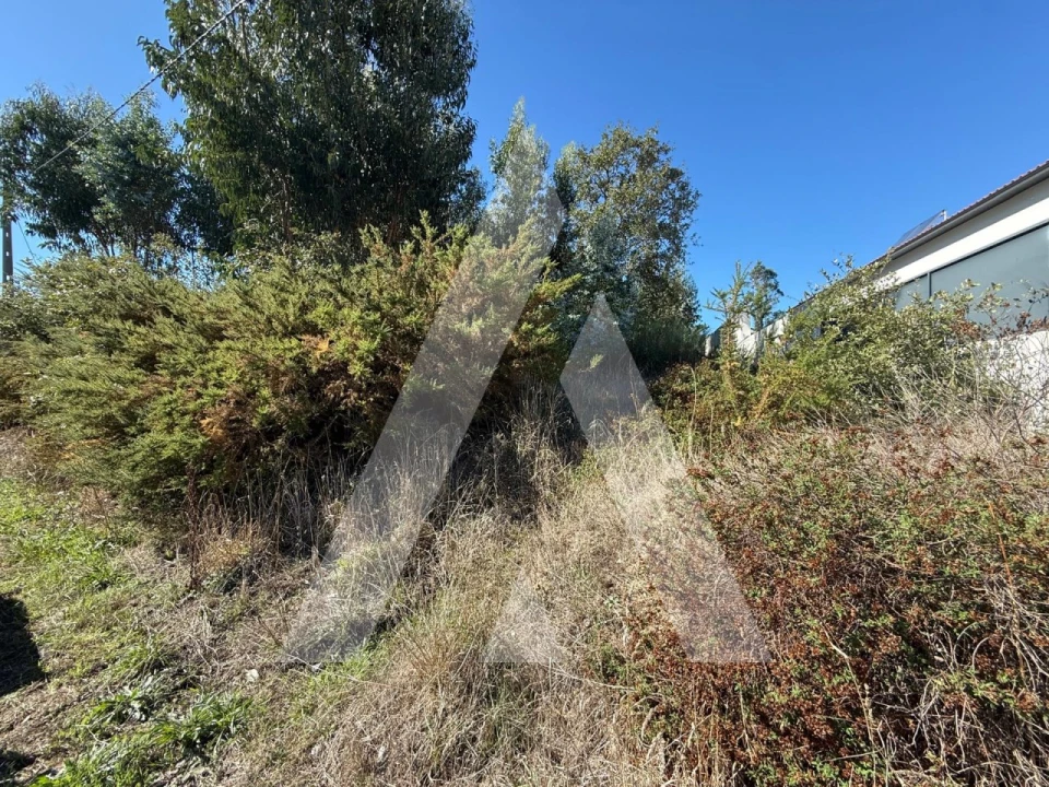 Terreno para Venda em Parceiros e Azoia Foto 5