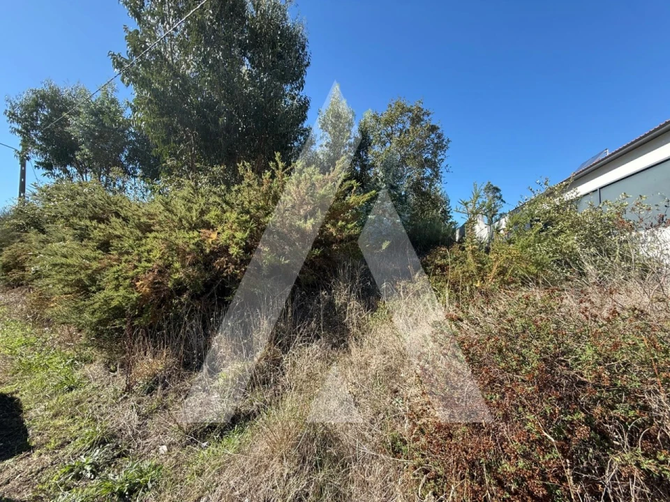 Terreno para Venda em Parceiros e Azoia Foto 6