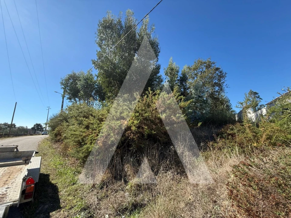 Terreno para Venda em Parceiros e Azoia Foto 7