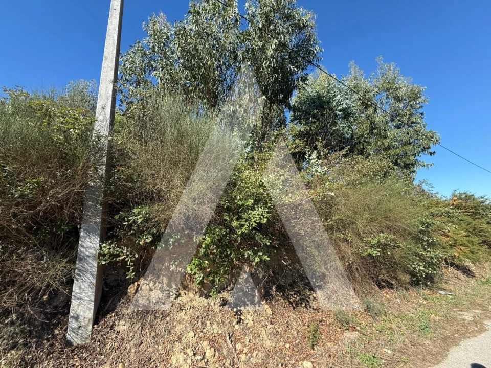 Terreno para Venda em Parceiros e Azoia Foto 8