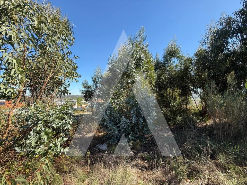 Terreno para Venda em Parceiros e Azoia Foto 9