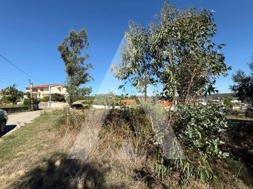 Terreno para Venda em Parceiros e Azoia Foto 10