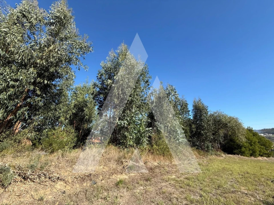 Terreno para Venda em Parceiros e Azoia Foto 12