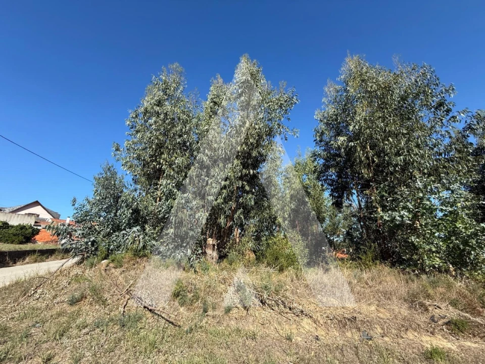 Terreno para Venda em Parceiros e Azoia Foto 13