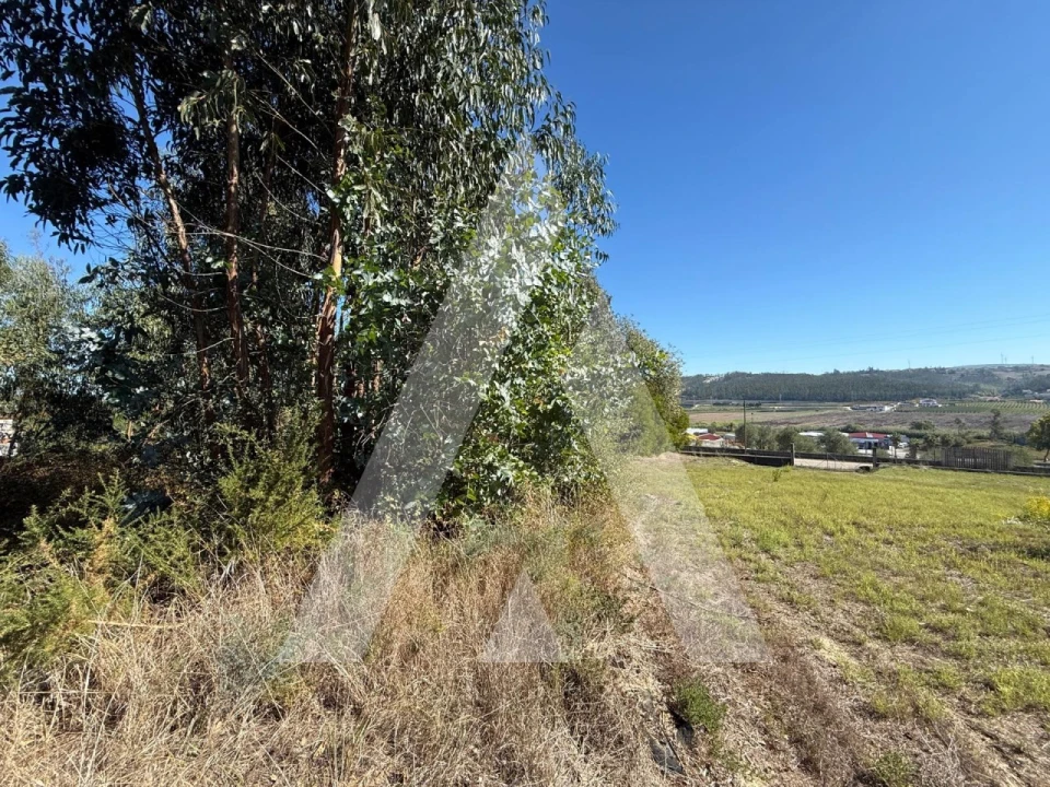 Terreno para Venda em Parceiros e Azoia Foto 15