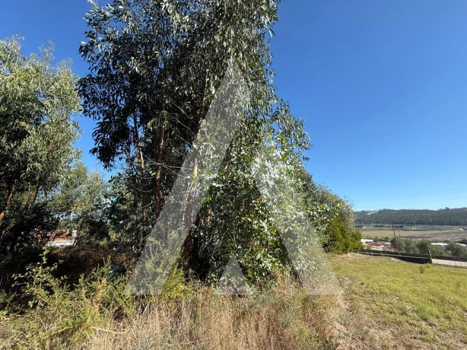 Terreno para Venda em Parceiros e Azoia Foto 16