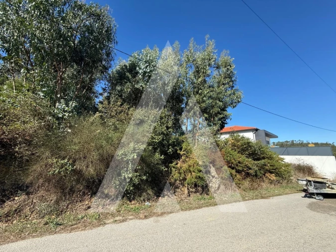Terreno para Venda em Parceiros e Azoia Foto 3