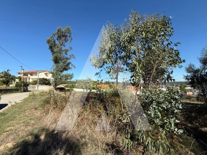 Terreno para Venda em Parceiros e Azoia Foto 11