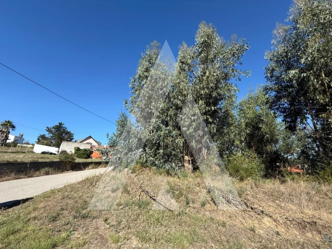 Terreno para Venda em Parceiros e Azoia Foto 14