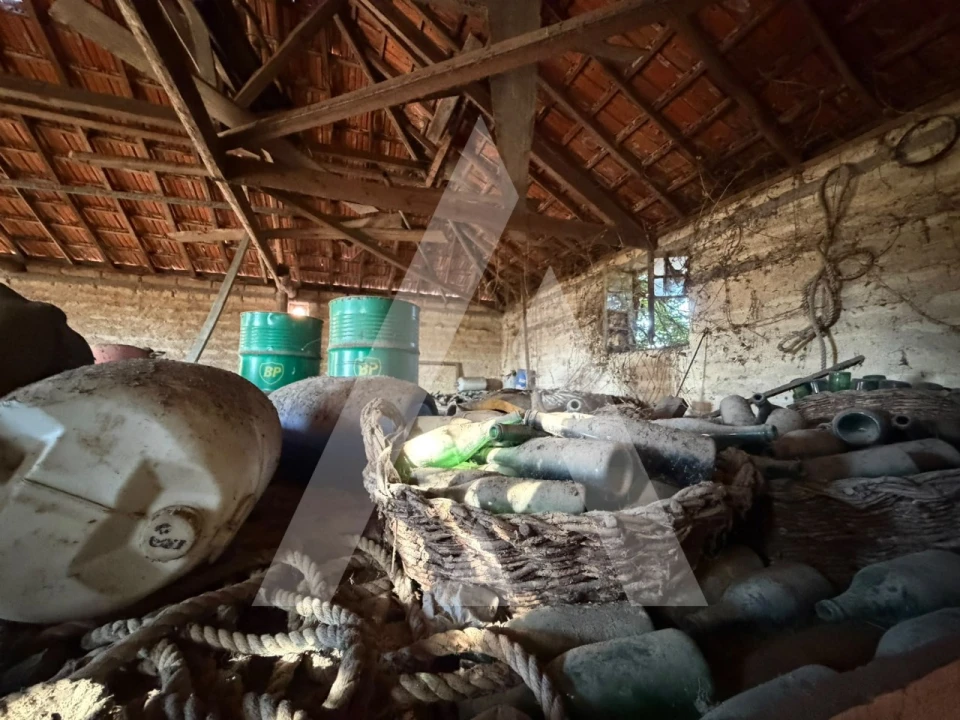 Negócio para Venda em Bustos, Troviscal e Mamarrosa Foto 2