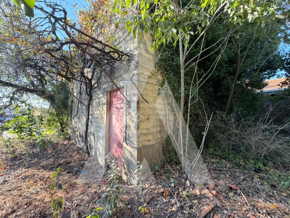 Negócio para Venda em Bustos, Troviscal e Mamarrosa Foto 7