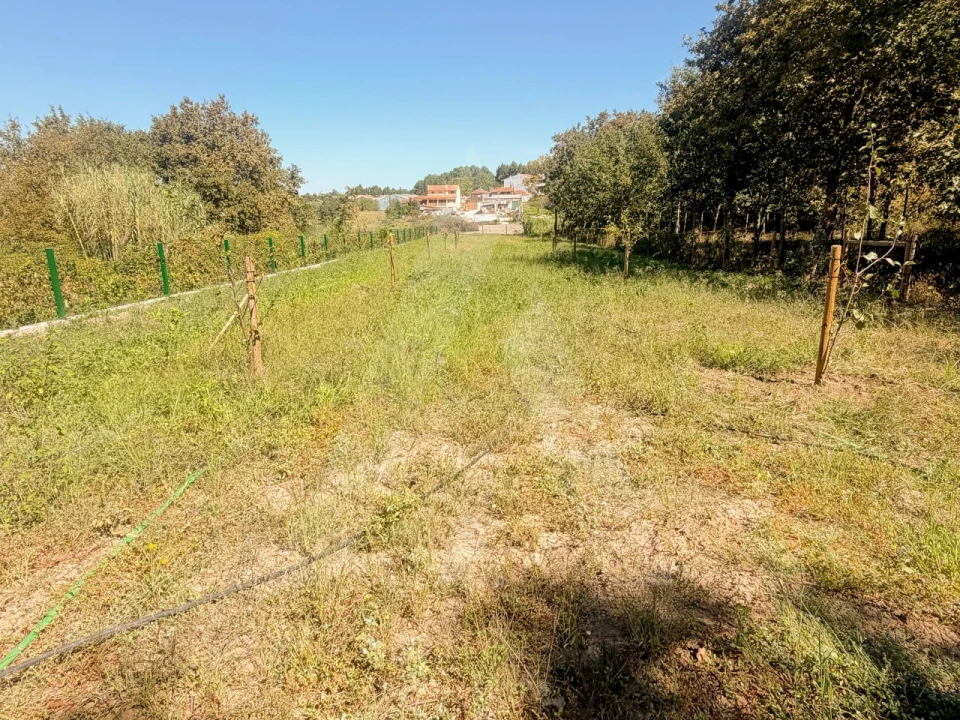 Moradia T4 para Venda em Oiã Foto 57