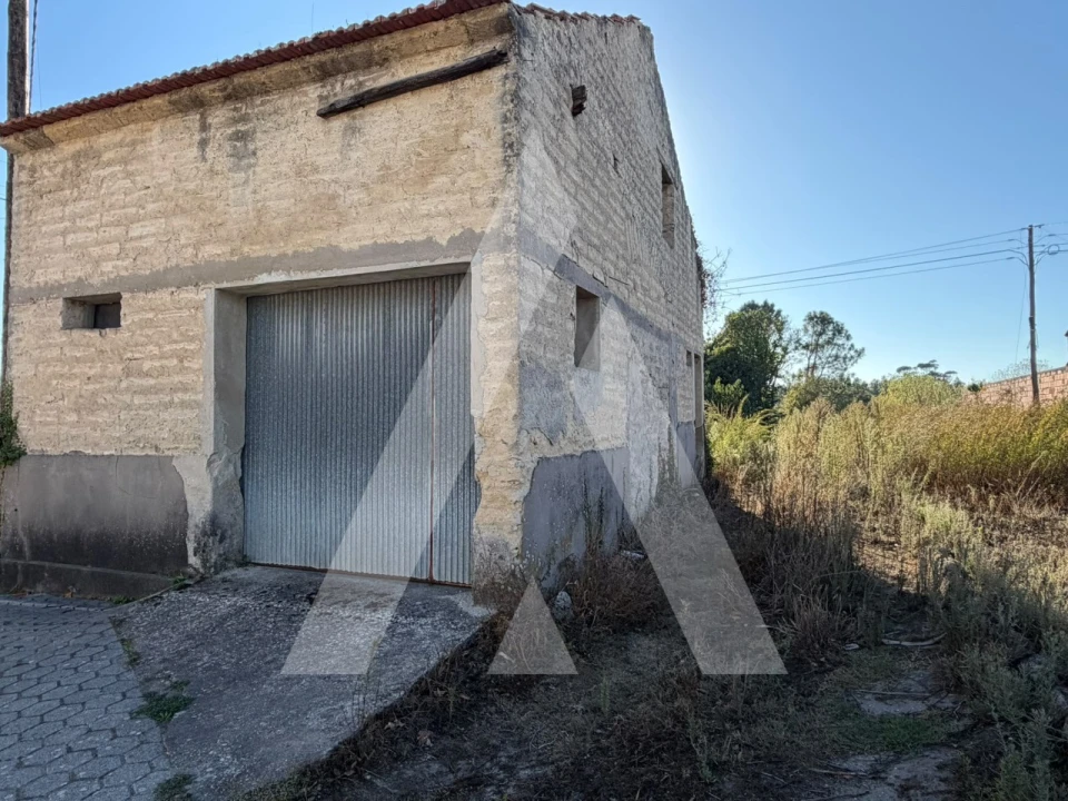 Negócio para Venda em Bustos, Troviscal e Mamarrosa Foto 2