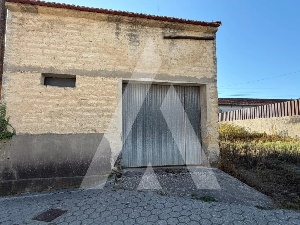 Negócio para Venda em Bustos, Troviscal e Mamarrosa Foto 3
