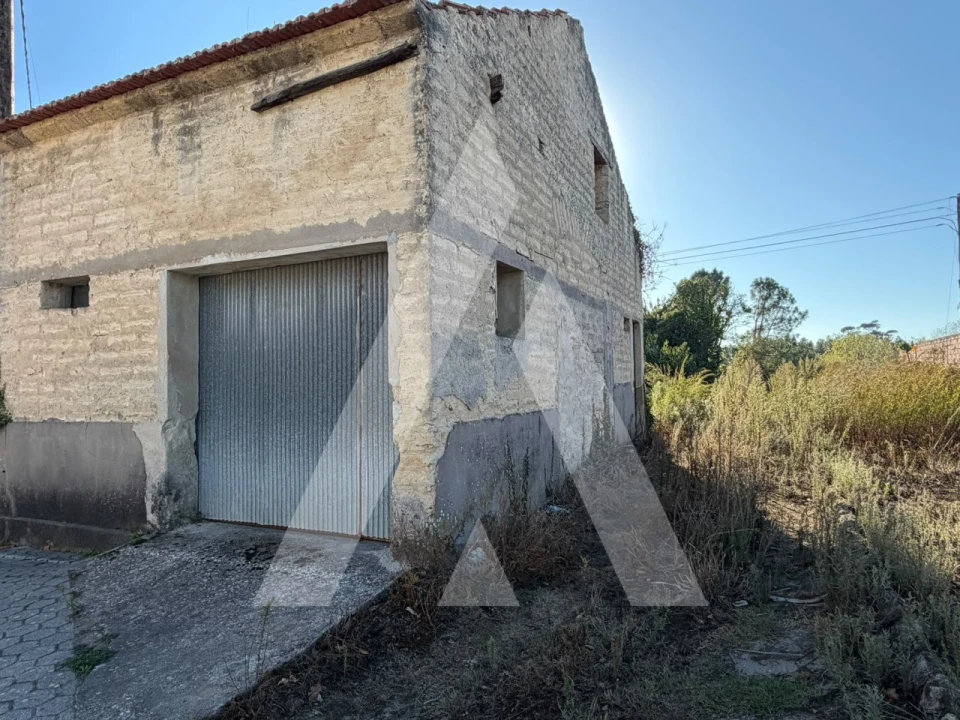 Negócio para Venda em Bustos, Troviscal e Mamarrosa Foto 4
