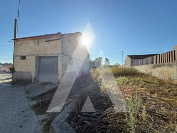 Negócio para Venda em Bustos, Troviscal e Mamarrosa