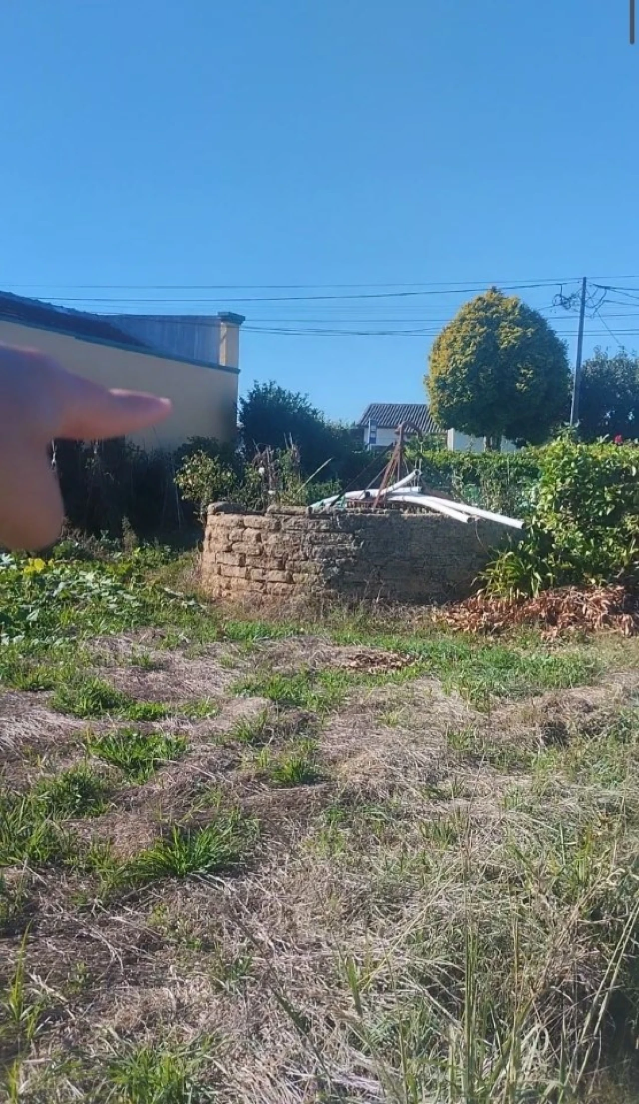 Terreno para Venda em Oiã Foto 3
