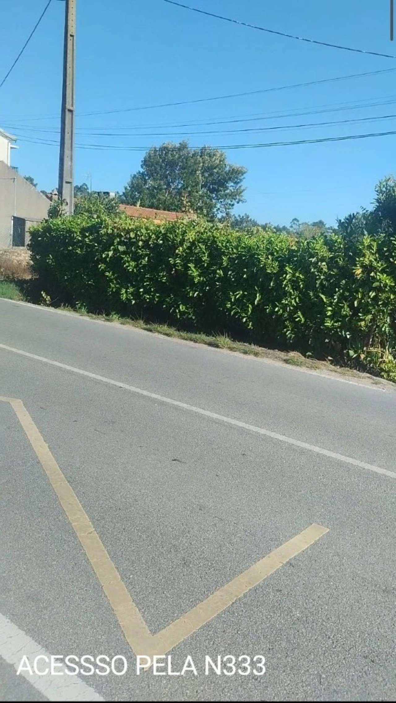 Terreno para Venda em Oiã Foto 4