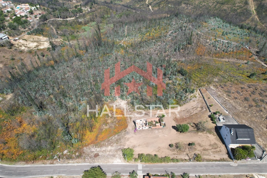 Terreno para Venda em Colmeias e Memória Foto 5