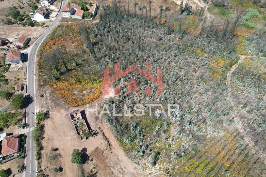 Terreno para Venda em Colmeias e Memória Foto 7