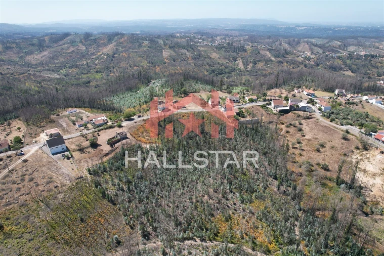 Terreno para Venda em Colmeias e Memória Foto 10