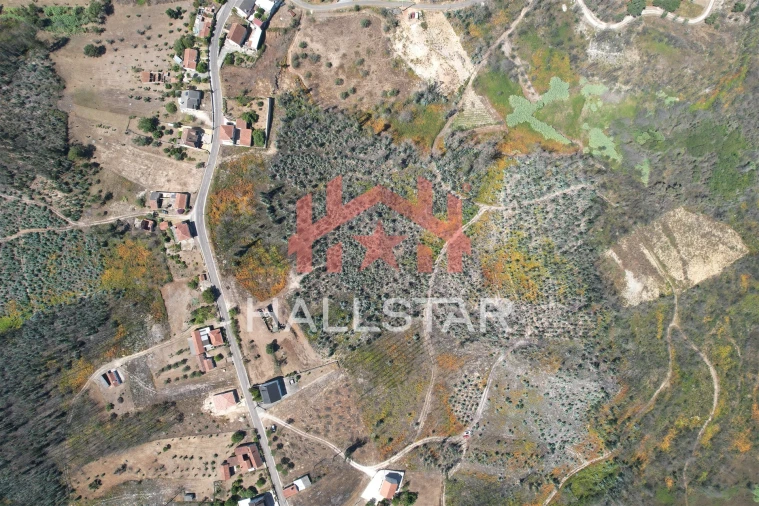 Terreno para Venda em Colmeias e Memória Foto 17