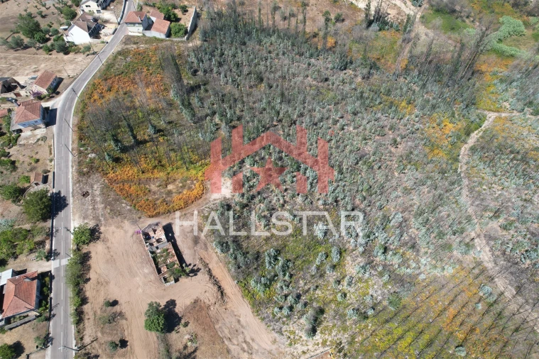 Terreno para Venda em Colmeias e Memória Foto 7