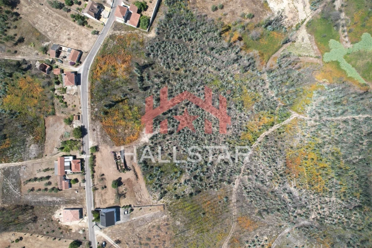 Terreno para Venda em Colmeias e Memória Foto 15