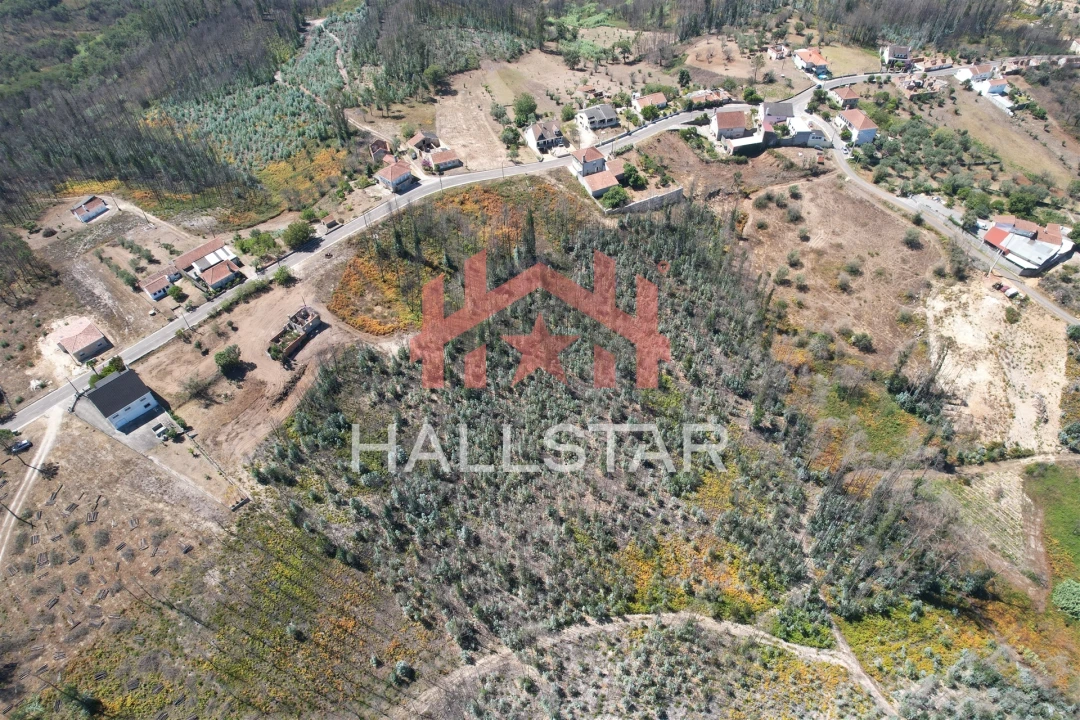 Terreno para Venda em Colmeias e Memória Foto 9
