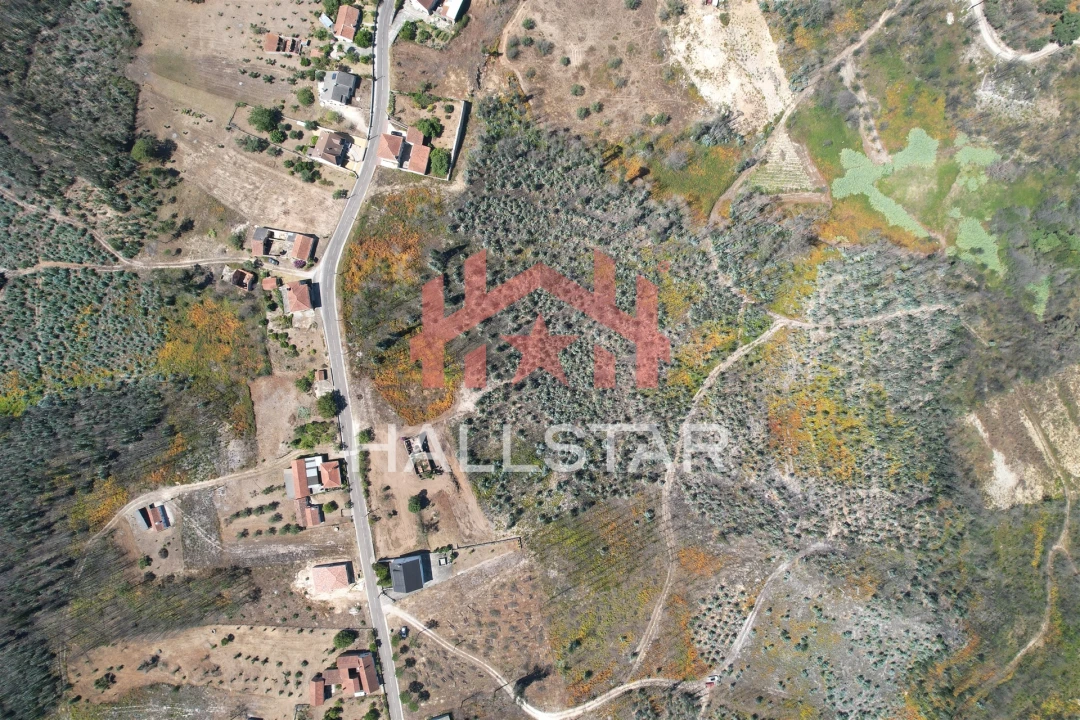 Terreno para Venda em Colmeias e Memória Foto 16