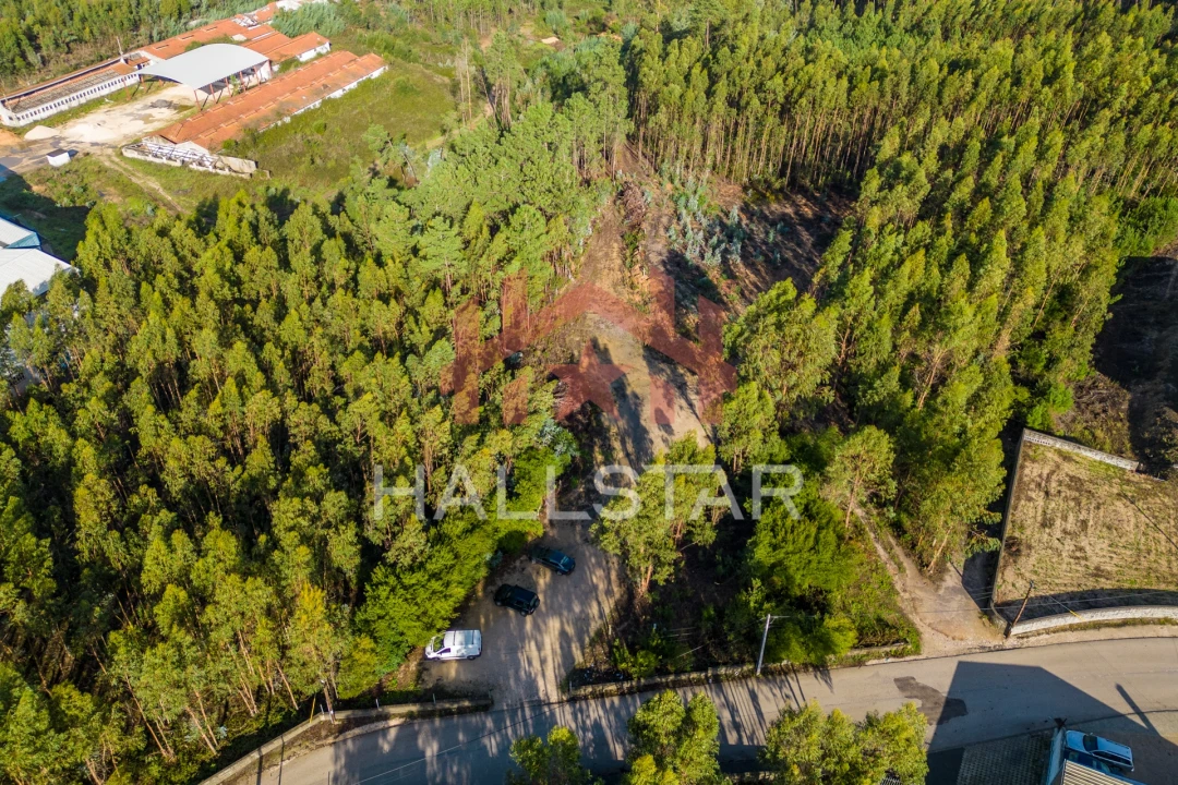 Terreno para Venda em Leiria, Pousos, Barreira e Cortes Foto 2