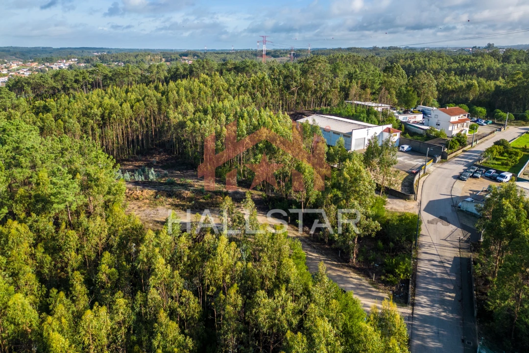 Terreno para Venda em Leiria, Pousos, Barreira e Cortes Foto 13