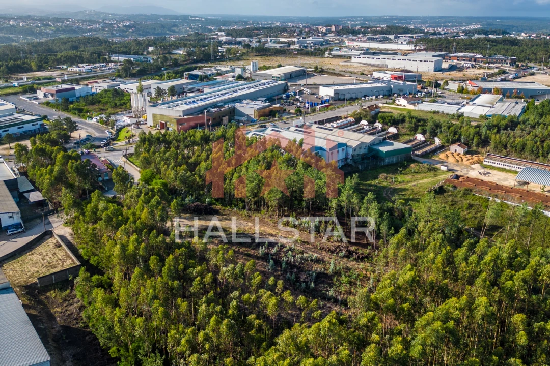Terreno para Venda em Leiria, Pousos, Barreira e Cortes Foto 8