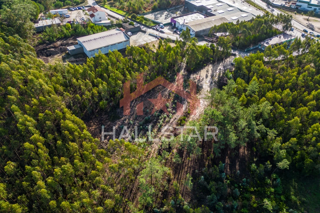 Terreno para Venda em Leiria, Pousos, Barreira e Cortes Foto 11