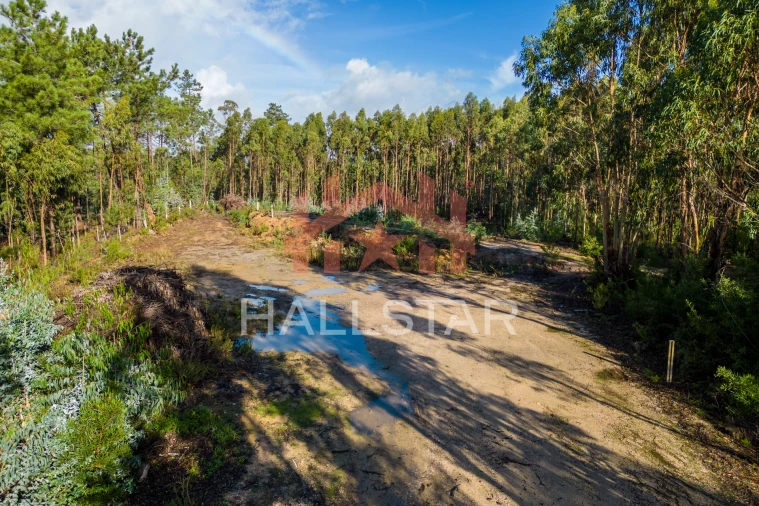 Terreno para Venda em Leiria, Pousos, Barreira e Cortes Foto 21