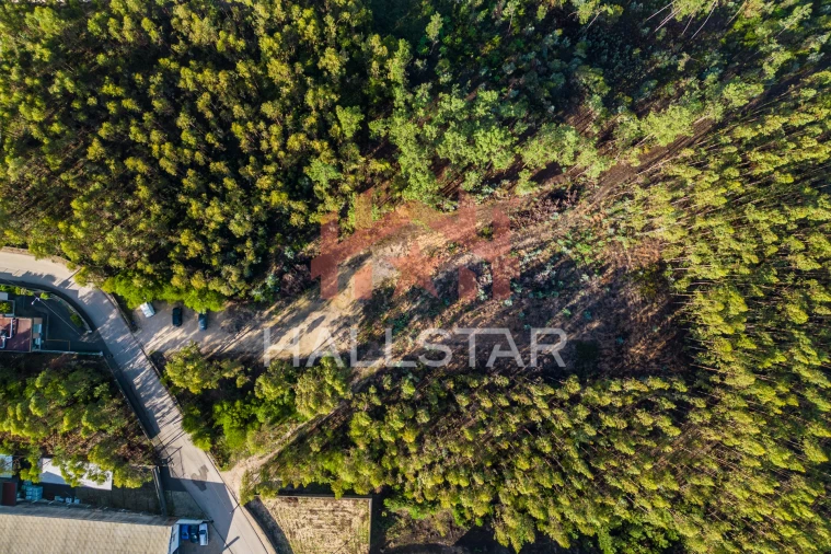 Terreno para Venda em Leiria, Pousos, Barreira e Cortes Foto 4