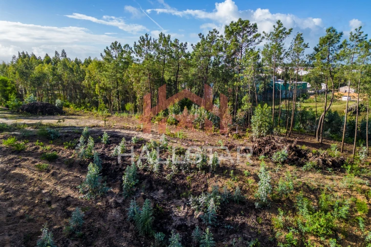 Terreno para Venda em Leiria, Pousos, Barreira e Cortes Foto 23