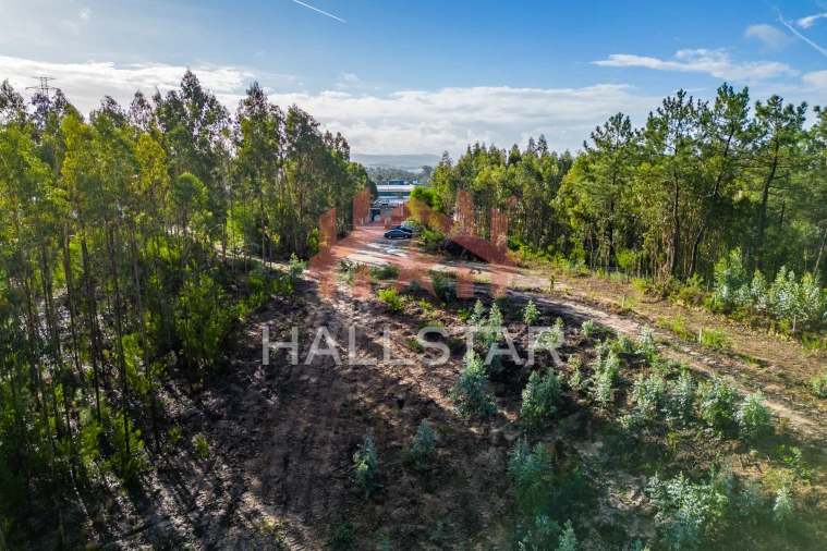 Terreno para Venda em Leiria, Pousos, Barreira e Cortes Foto 22